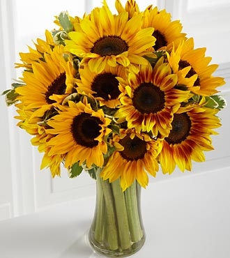 Early Summer is the time when Sunflowers begin to blossom Carithers Flowers